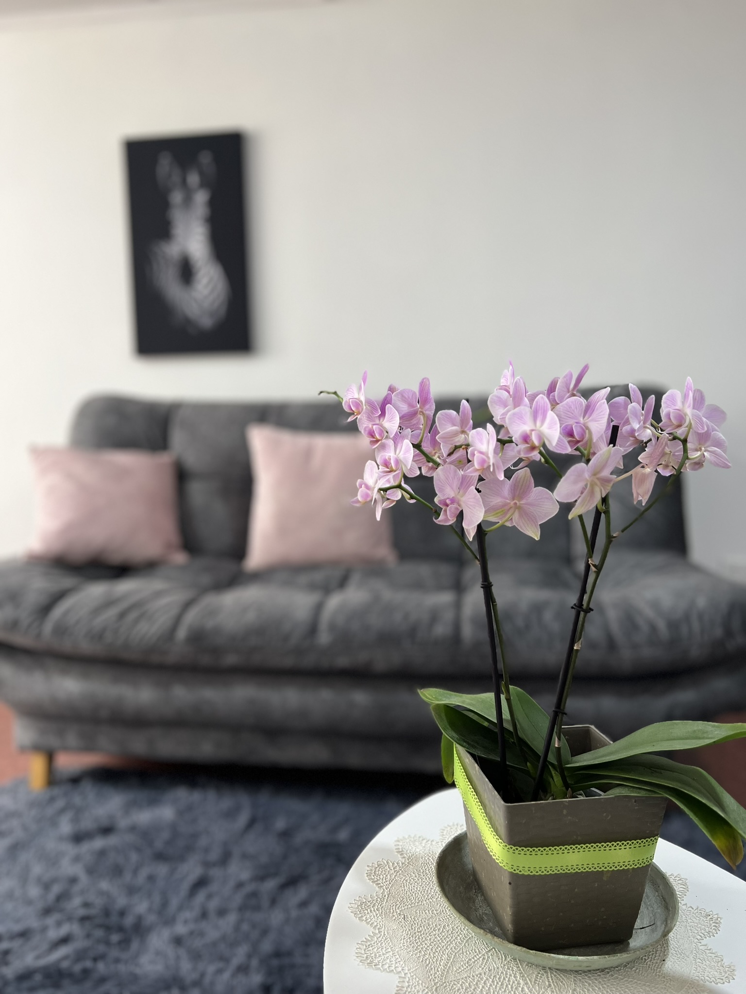 Sala de espera del consultorio psicológico en Zipaquirá